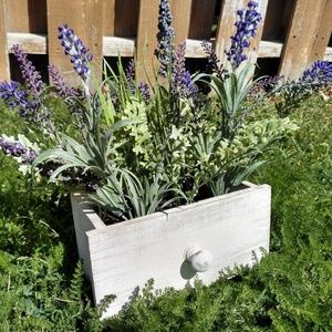 Meet your Posher, Genoveva